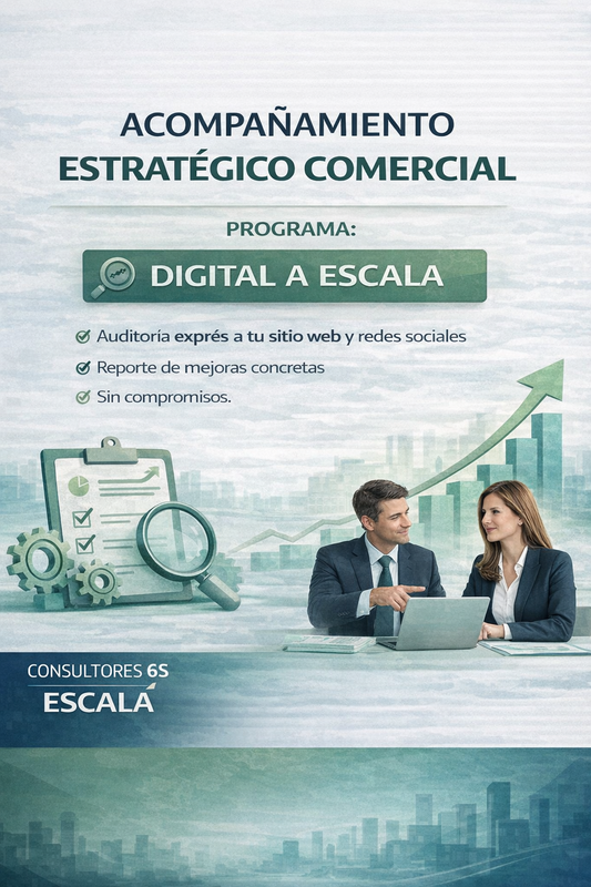 PROGRAMA DE ACOMPAÑAMIENTO ESTRATÉGICO COMERCIAL: DIGITAL A ESCALA
